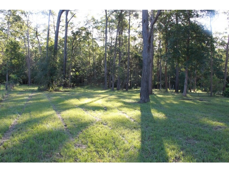 49 Brushbox Crescent, Yarravel NSW 2440