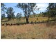 1912 Willi Willi Road, Moparrabah NSW 2440