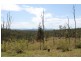 1912 Willi Willi Road, Moparrabah NSW 2440