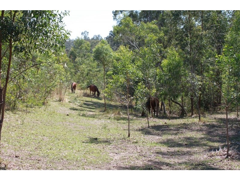 21 Mungay Creek Road, Willawarrin NSW 2440