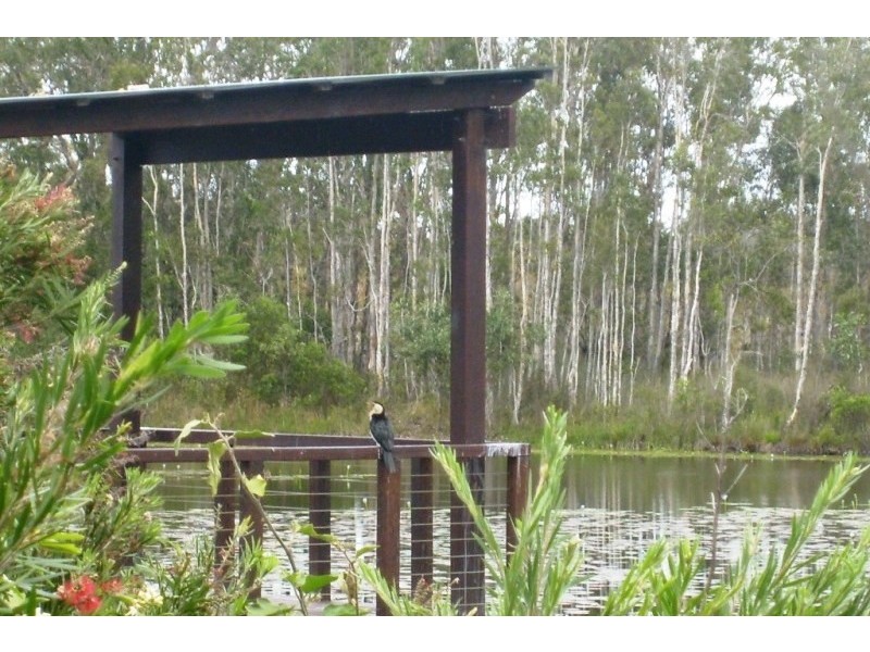 28 Gecko Place, Ningi QLD 4511