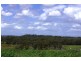 Griffin QLD 4503