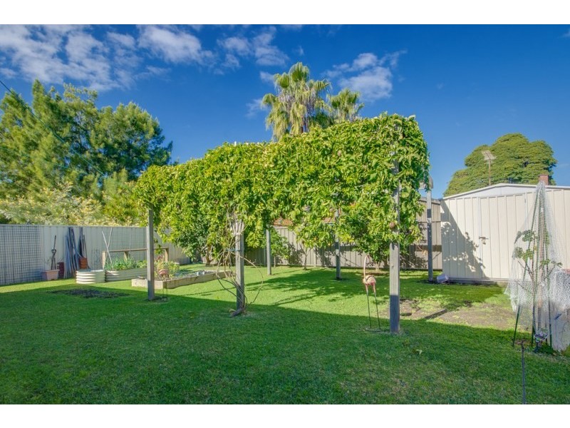 31 Lucinda Street, Gwynneville NSW 2500