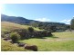 41 Squires Crescent, Coledale NSW 2515