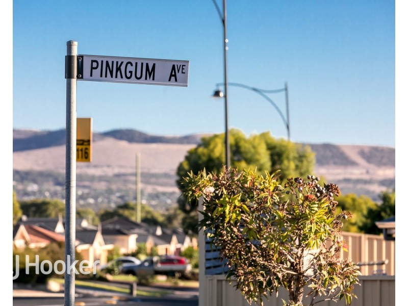 29 Pinkgum Avenue, Aldinga Beach SA 5173