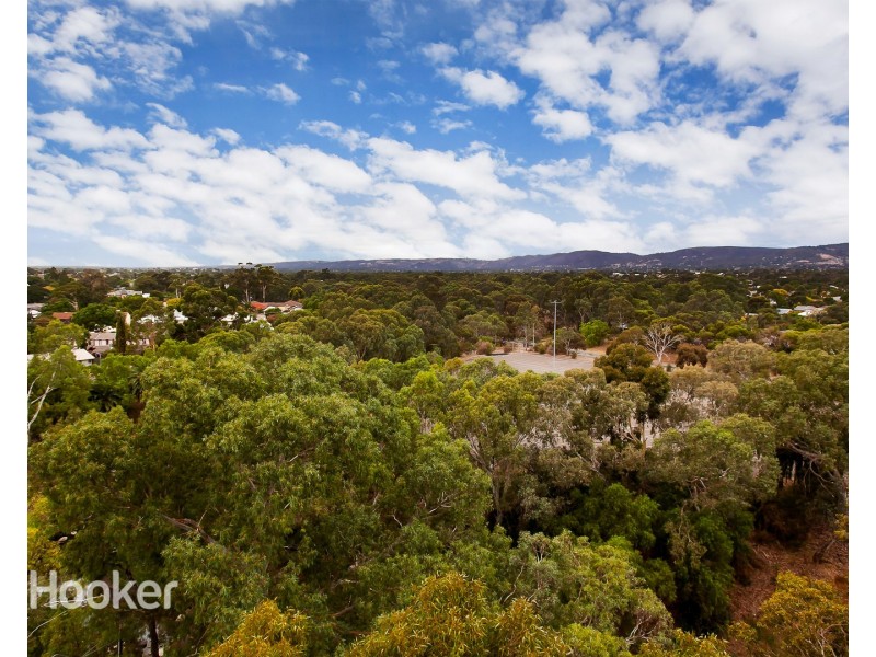 622/33 Warwick Street, Walkerville SA 5081