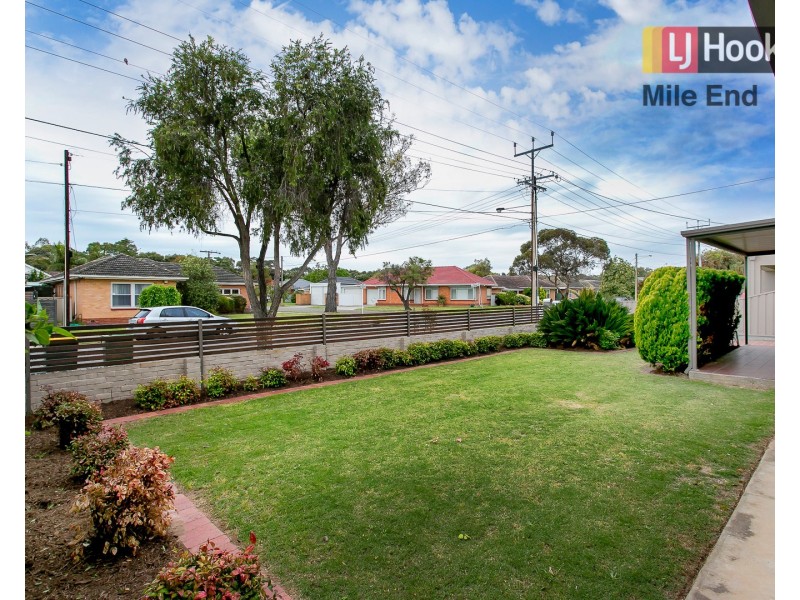 16 Dartmoor Street, Lockleys SA 5032