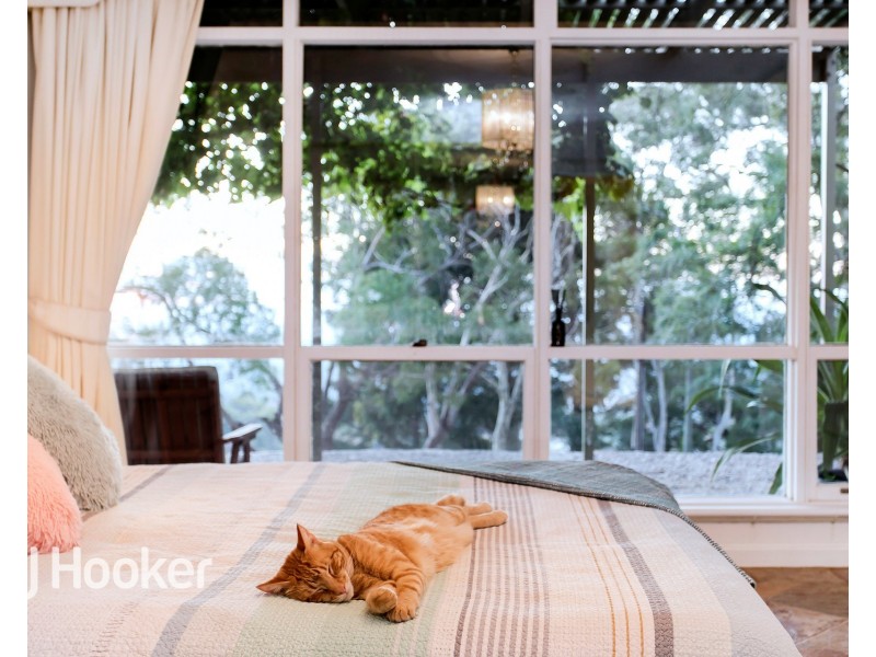 55 Ridgeland Drive, Teringie SA 5072