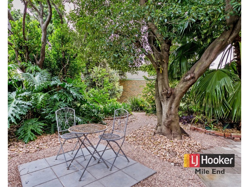 3/17 Thornton Street, Kensington SA 5068
