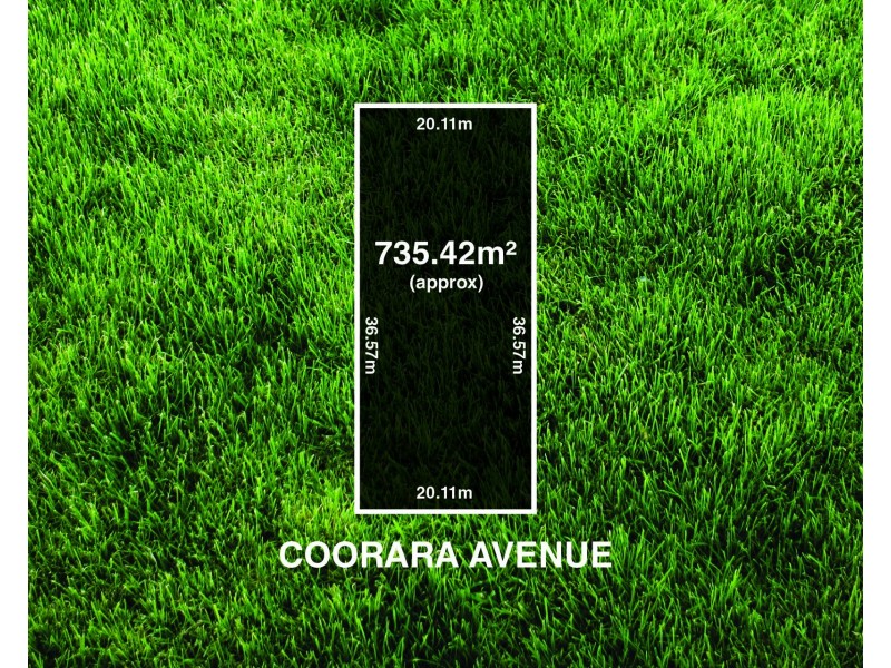 31 Coorara Avenue, Payneham South SA 5070