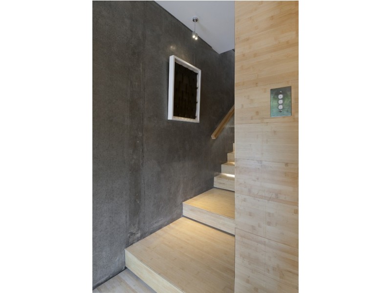 67 Justin Street, Lilyfield NSW 2040