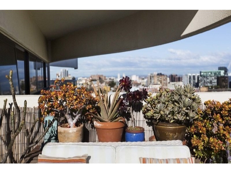 184 Forbes Street, Darlinghurst NSW 2010