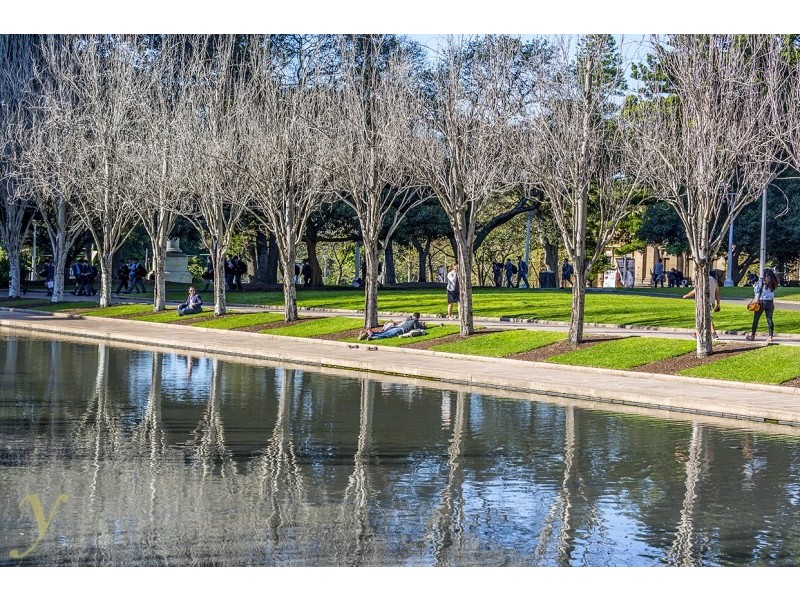 133 Goulburn Street, Surry Hills NSW 2010