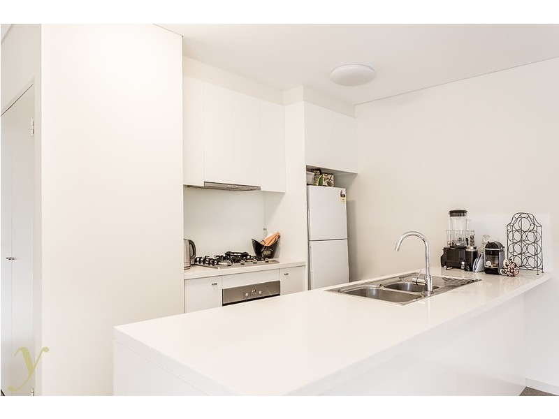 31 Botany Street, Bondi Junction NSW 2022