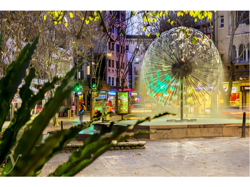 6-8 Ward Avenue, Elizabeth Bay NSW 2011