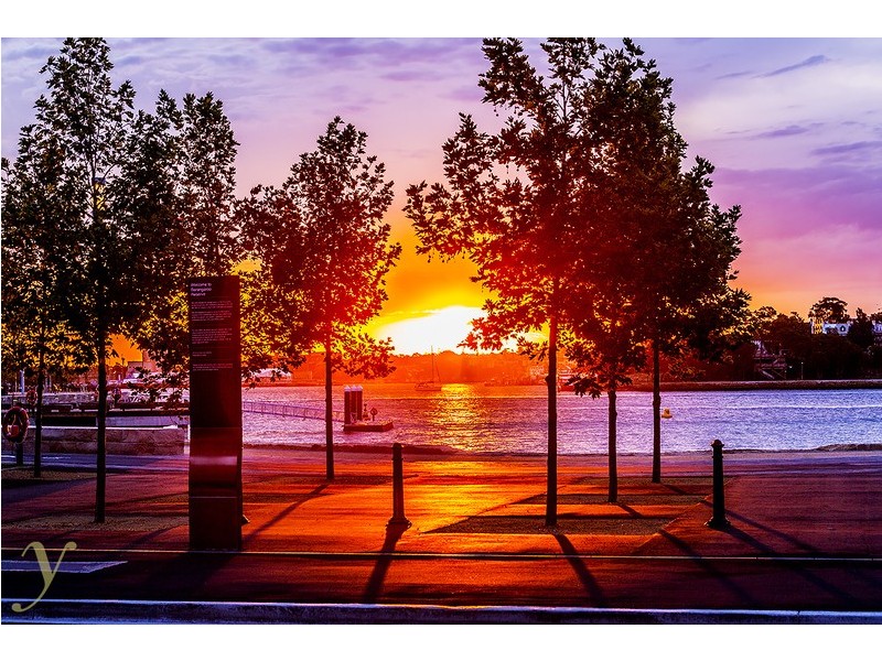 29 Barangaroo Avenue, Sydney NSW 2000