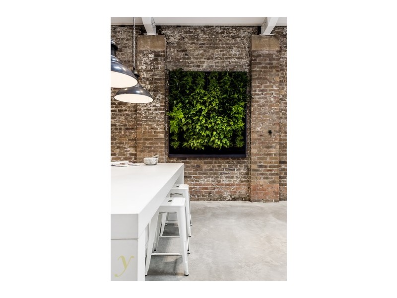 63 Little Mount Street, Sydney NSW 2000