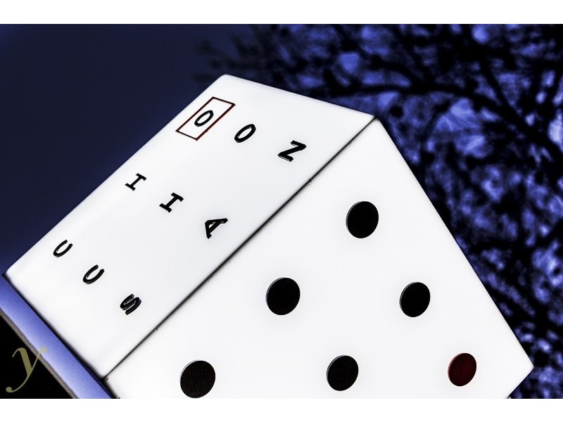 1a Roslyn Street, Potts Point NSW 2011