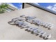 447-451 Pacific Highway, Asquith NSW 2077