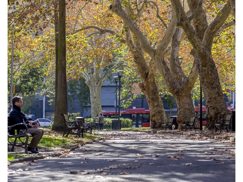 359 Pitt Street, Sydney NSW 2000