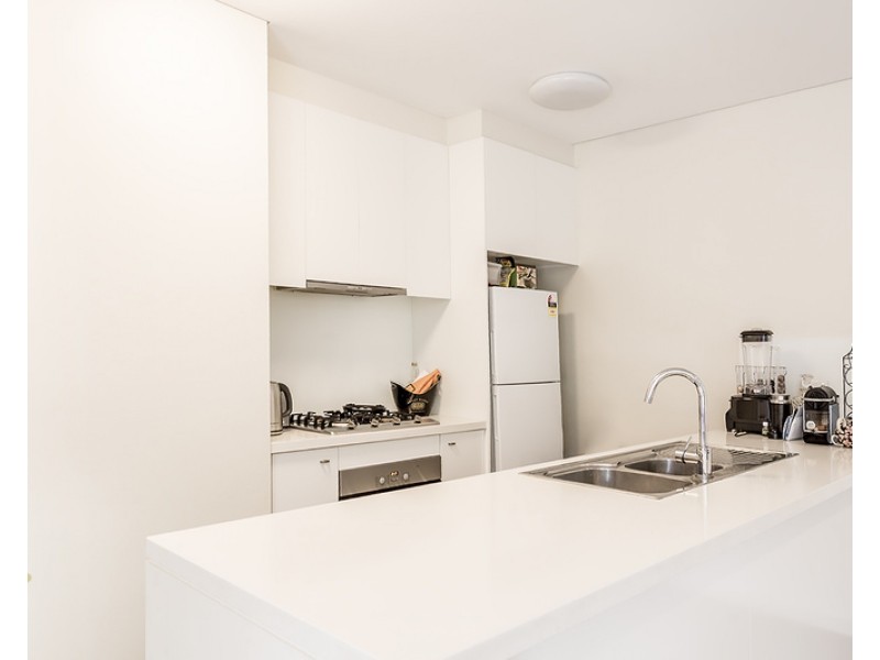 31 Botany Street, Bondi Junction NSW 2022