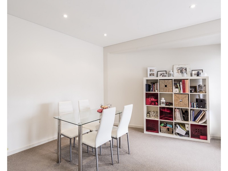 31 Botany Street, Bondi Junction NSW 2022