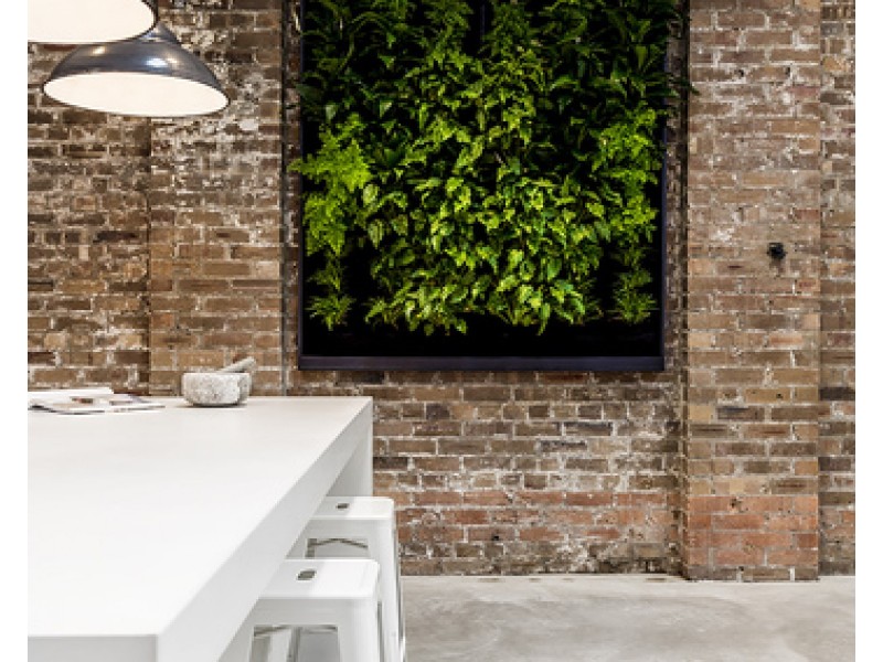 63 Little Mount Street, Pyrmont NSW 2009