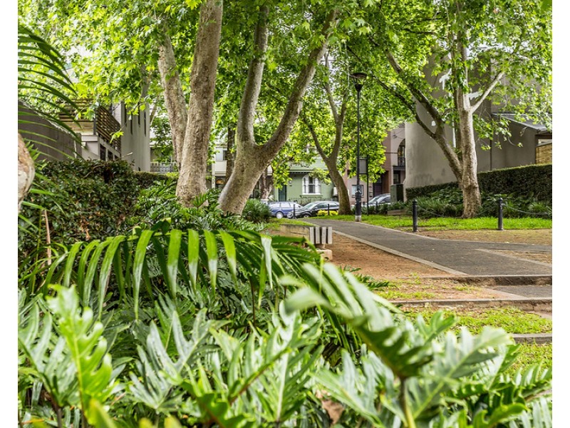 41 Marshall Street, Surry Hills NSW 2010