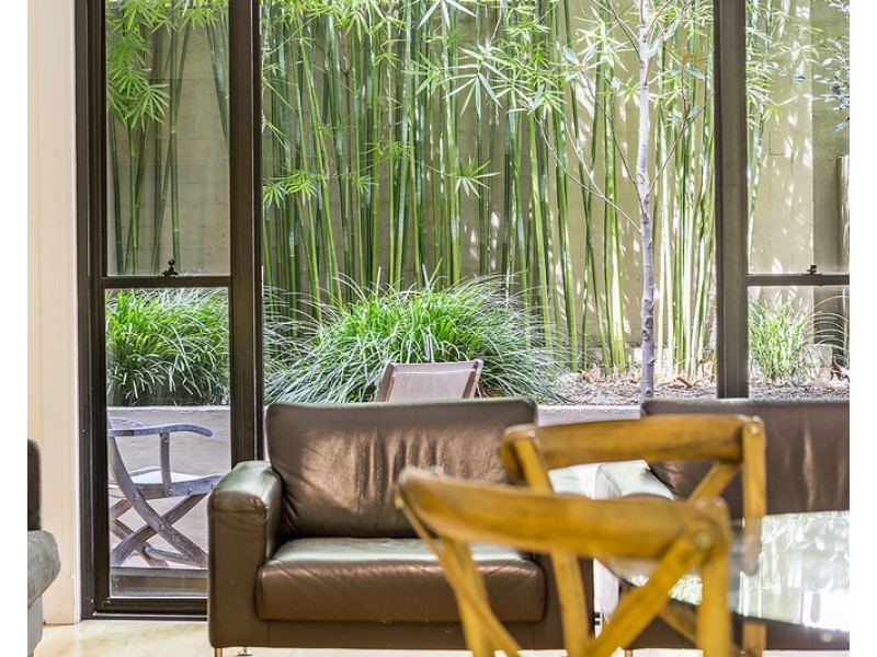 87 Cathedral Street, Woolloomooloo NSW 2011