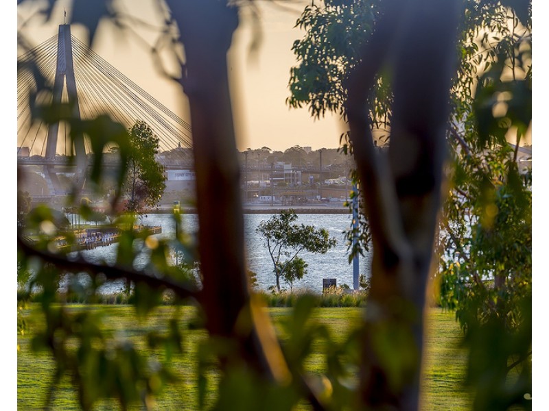 20 Merriman Street, Sydney NSW 2000