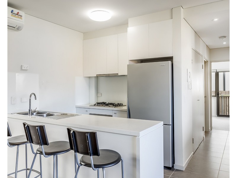 31 Botany Street, Bondi Junction NSW 2022