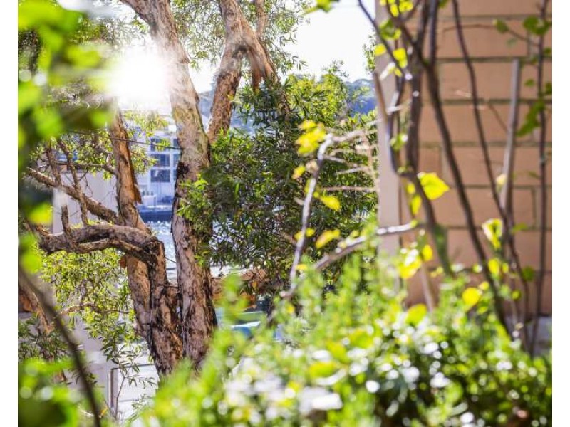 71 Victoria Street, Potts Point NSW 2011