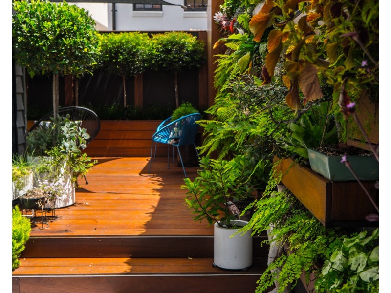 47 Selwyn Street, Paddington NSW 2021