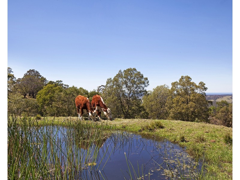 663c Little Forest Road, Milton NSW 2538