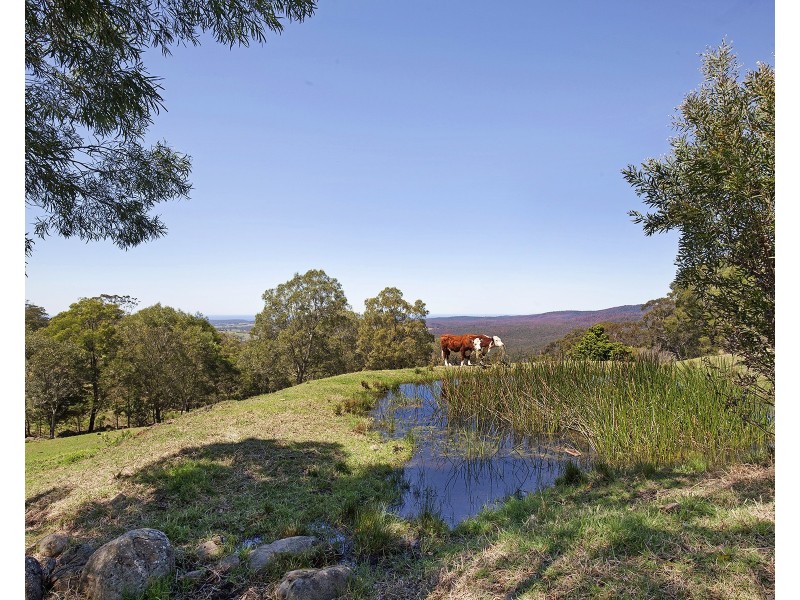 663c Little Forest Road, Milton NSW 2538