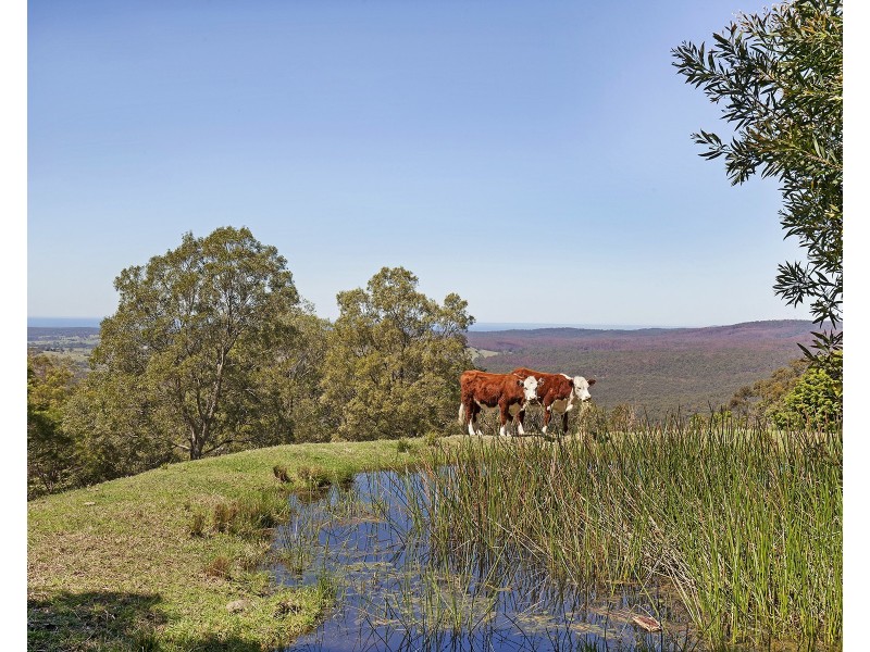 663c Little Forest Road, Milton NSW 2538