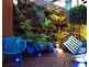 47 Selwyn Street, Paddington NSW 2021