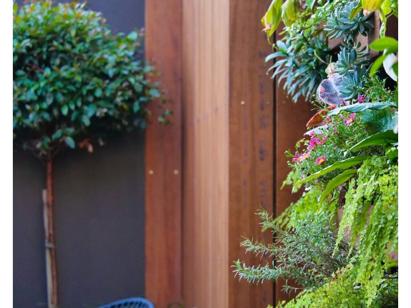 47 Selwyn Street, Paddington NSW 2021