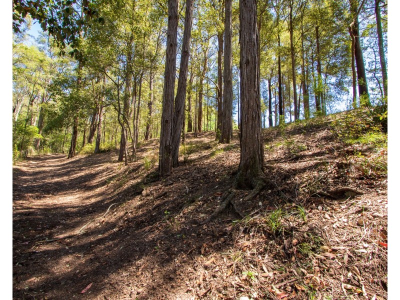 103 Horans Lane, Grose Vale NSW 2753