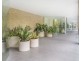 184 Forbes Street, Darlinghurst NSW 2010