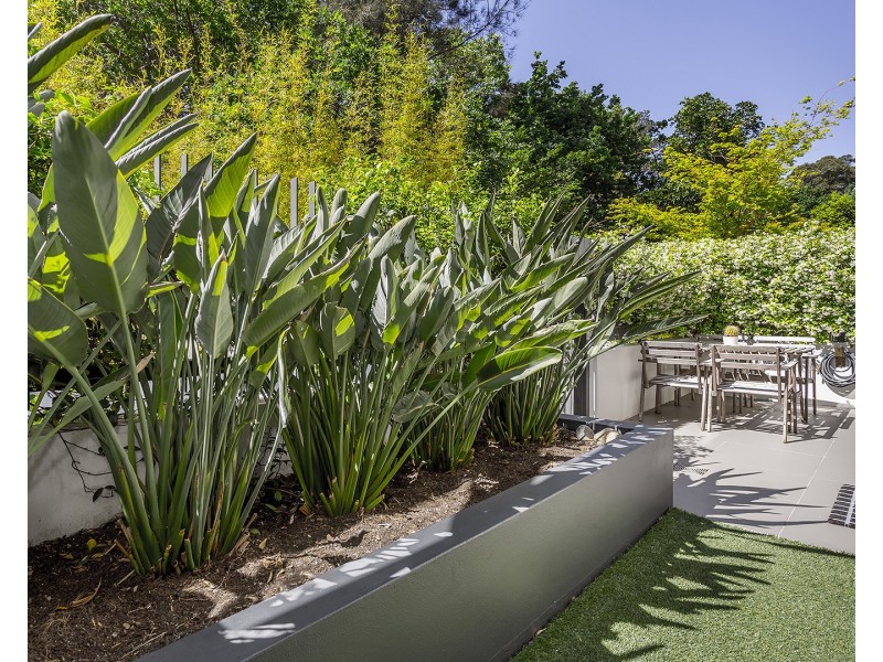 288 Burns Bay Road, Lane Cove NSW 2066
