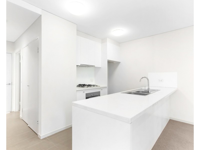 31 Botany Street, Bondi Junction NSW 2022