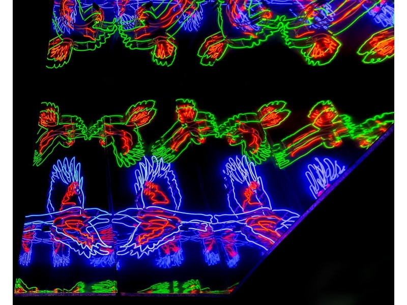 81 Foveaux Street, Surry Hills NSW 2010