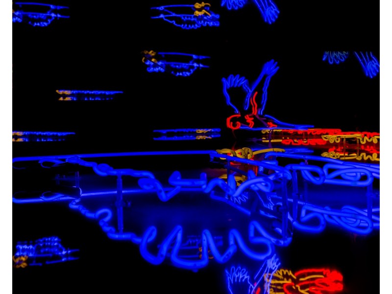 81 Foveaux Street, Surry Hills NSW 2010