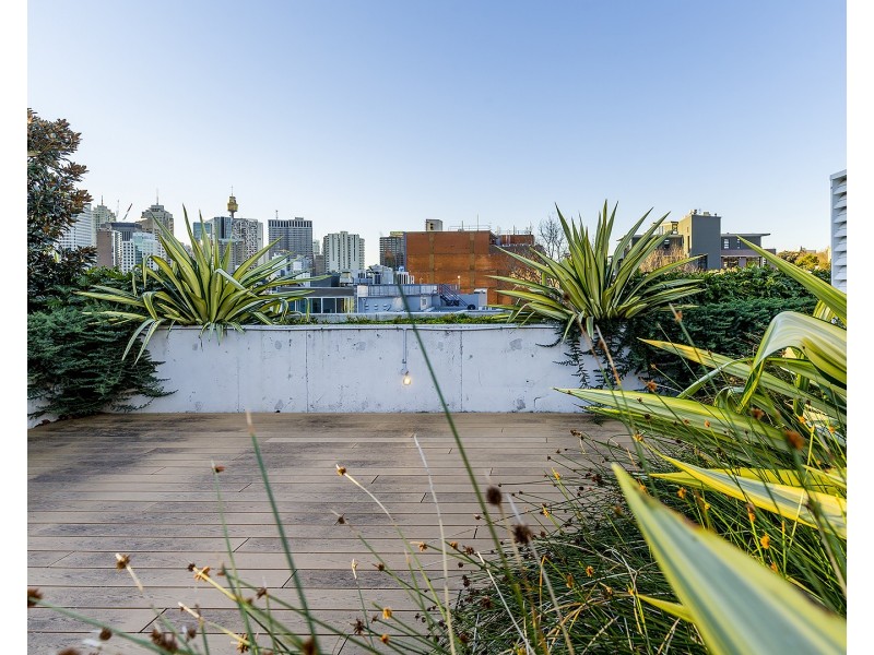 81 Foveaux Street, Surry Hills NSW 2010