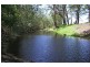 317B Little Forest Road, Milton NSW 2538