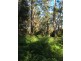 317B Little Forest Road, Milton NSW 2538