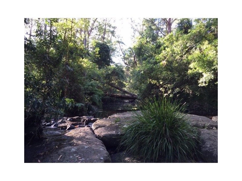 317B Little Forest Road, Milton NSW 2538