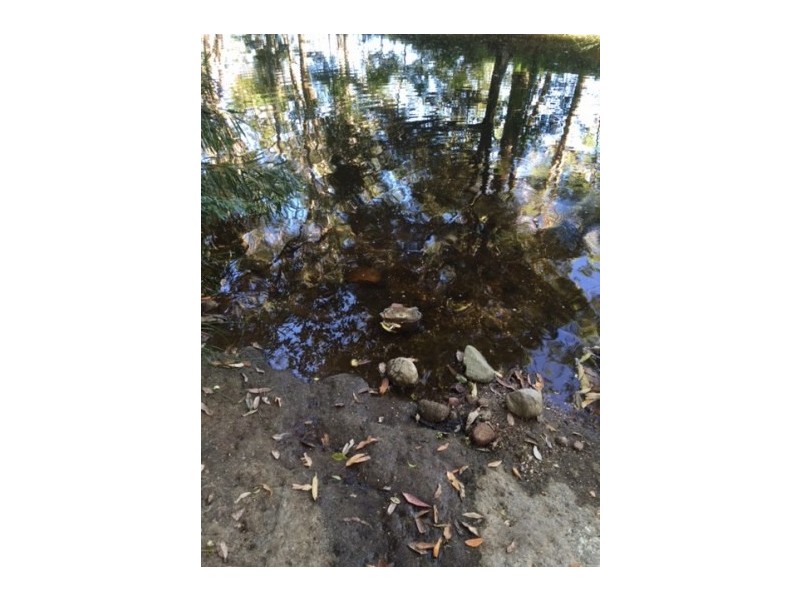 317B Little Forest Road, Milton NSW 2538