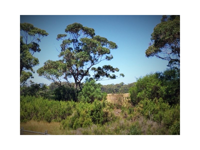 Lot 206,  Como Avenue, Burrill Lake NSW 2539